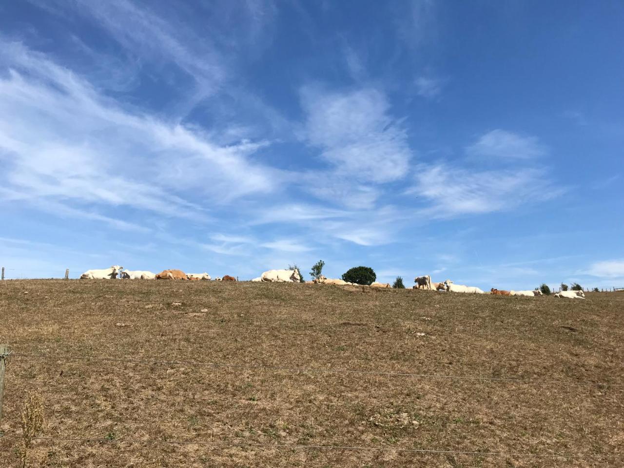 Smultronstallet Gardshotell Valleberga エクステリア 写真